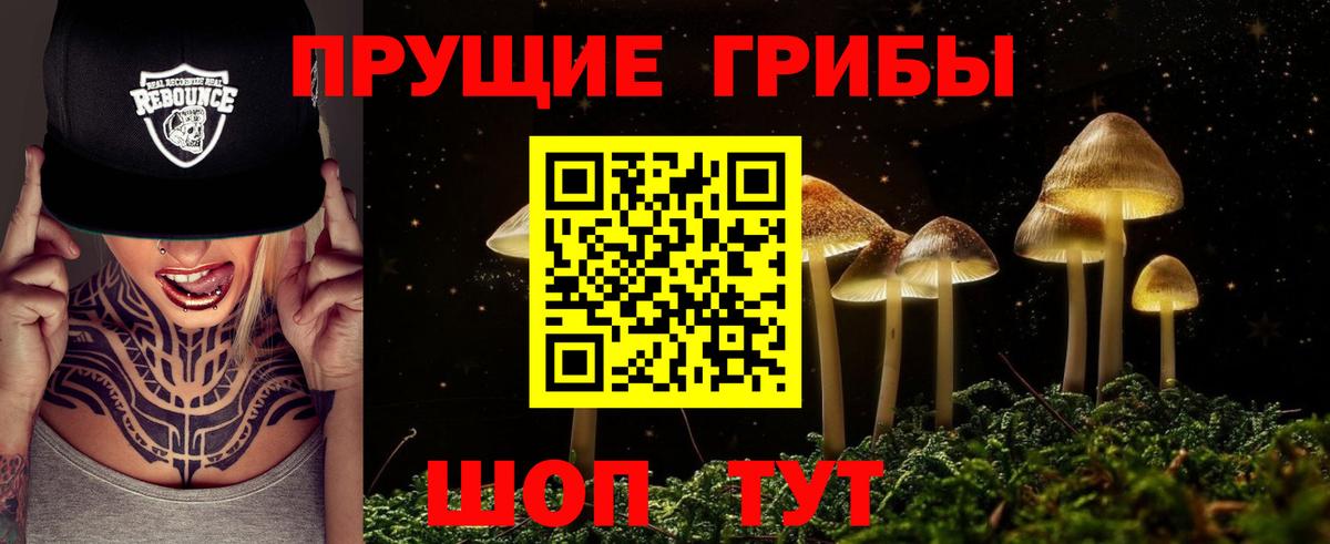 Галлюциногенные грибы Psilocybe  Псилоцибиновые грибы GOLDEN TEACHER  Вход с VPN  Кулебаки 